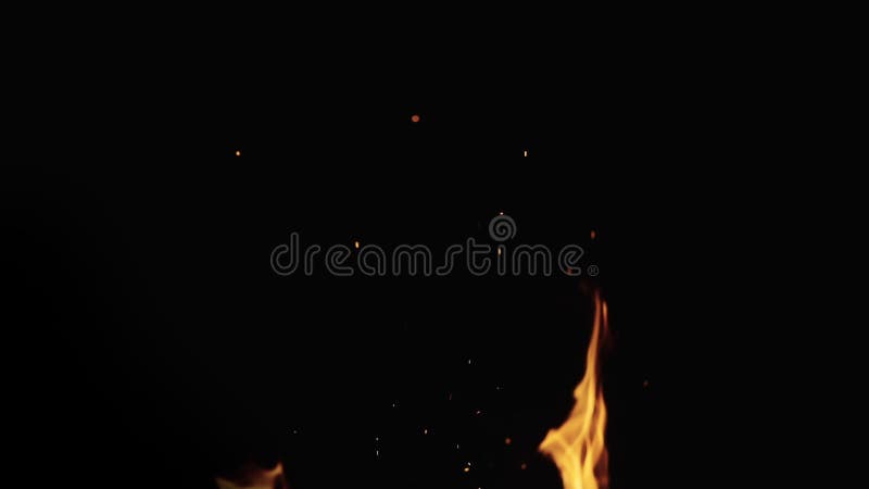 Slow motion shot of fire flames of campfire over black background, for overlay stock footage