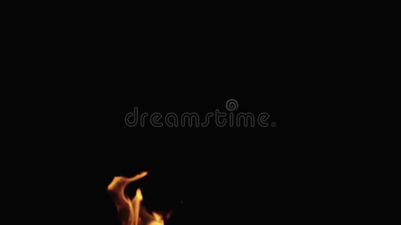 Slow motion shot of fire flames of campfire over black background, for overlay stock video footage