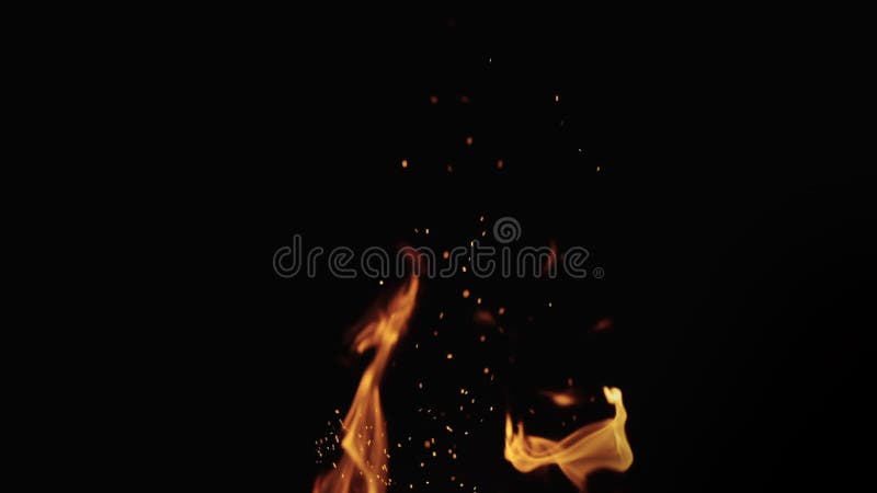 Slow motion shot of fire flames of campfire with sparks over black background, for overlay stock video footage