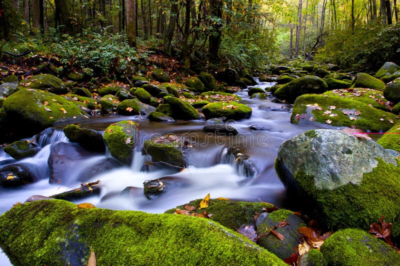 Slow moving stream in fall