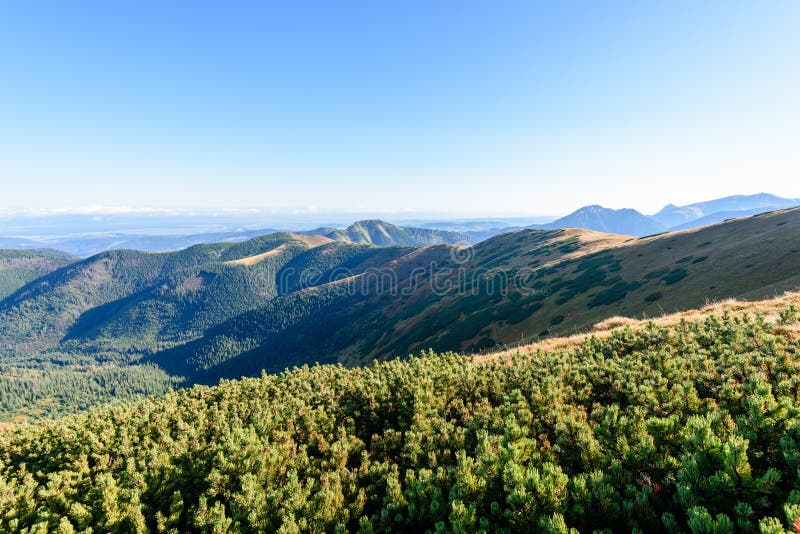 Download Slowakische Karpatenberge Im Herbst Sonnige Bergkuppen In Der Summe Stockfoto - Bild von gras, landschaft: 106800776