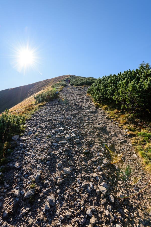 Download Slowakische Karpatenberge Im Herbst Wanderweg Auf Stockfoto - Bild von pfad, panorama: 106800302