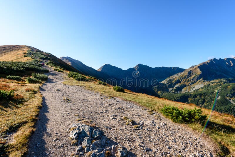Download Slowakische Karpatenberge Im Herbst Wanderweg Auf Stockfoto - Bild von spitze, ablage: 106800792