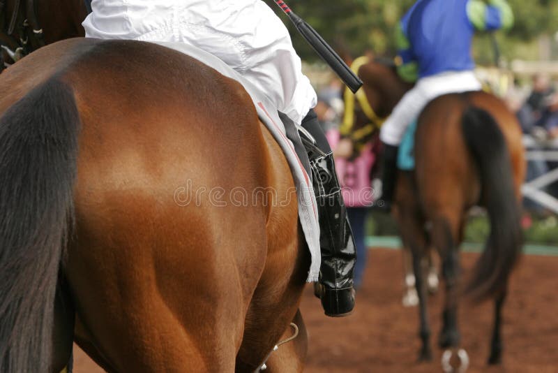 Sluit omhoog Detail van Jockey op het Paard van het Ras