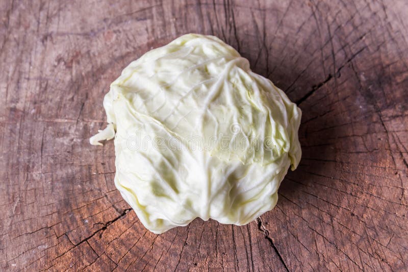 Sluit omhoog geschoten van witte collard royalty-vrije stock fotografie Sluit omhoog geschoten van witte collard royalty-vrije stock fotografie