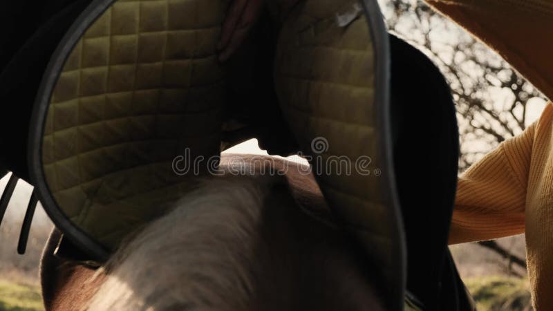 Sluit omhoog mening van paard terug waarop het jonge blonde probeert om de gele zadel langzame motie te zetten stock videobeelden Sluit omhoog mening van paard terug waarop het jonge blonde probeert om de gele zadel langzame motie te zetten stock videobeelden