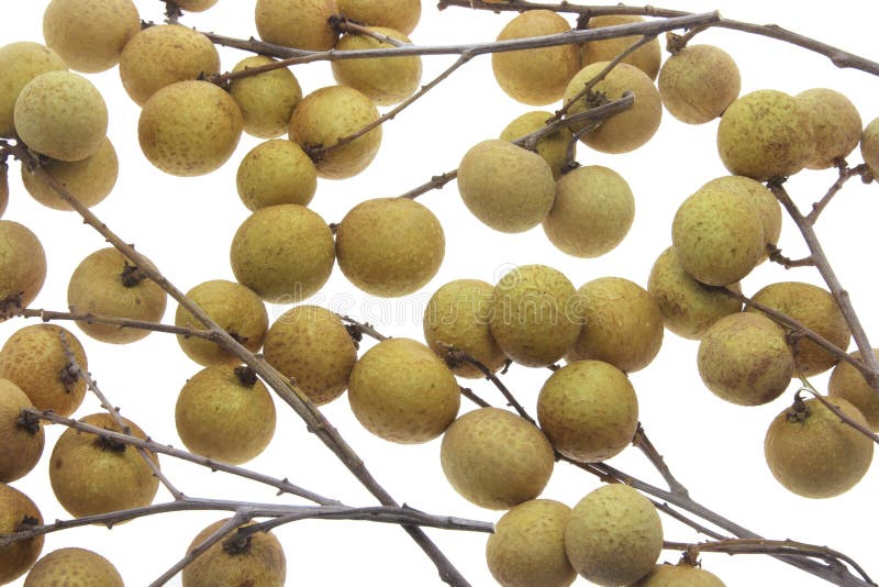 Sluit omhoog van Longans stock fotografie