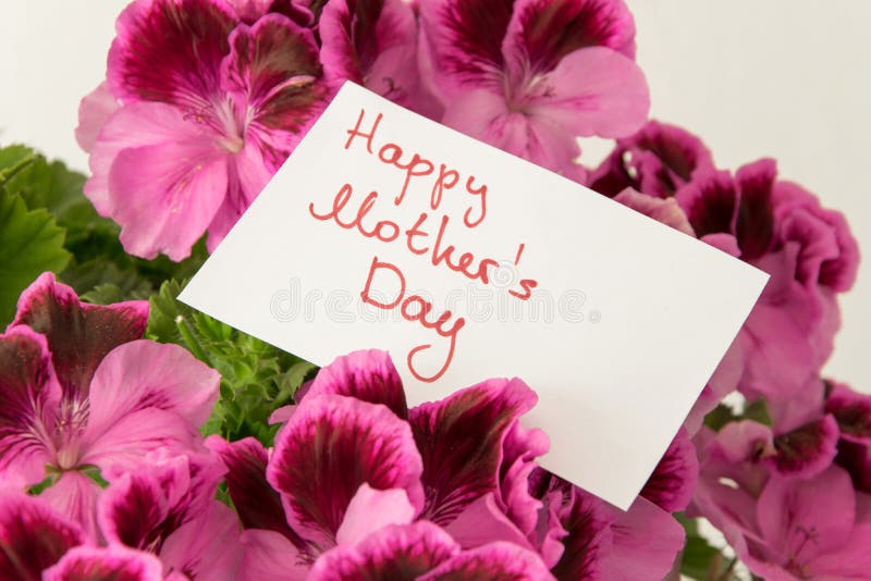 Sluit omhoog van mooie verse bloemen met groetkaart voor Moeder` s dag stock foto's Sluit omhoog van mooie verse bloemen met groetkaart voor Moeder` s dag stock foto's
