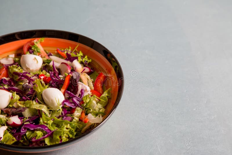 Sluit omhoog van verse salade van sla, radijs, tomaten en mozarellakaas op plaat voor het gezonde eten royalty-vrije stock foto's Sluit omhoog van verse salade van sla, radijs, tomaten en mozarellakaas op plaat voor het gezonde eten royalty-vrije stock foto's