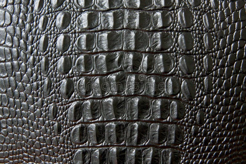 Sluit omhoog van zwarte slang of krokodilhuidtextuur grote schalen stock foto's Sluit omhoog van zwarte slang of krokodilhuidtextuur grote schalen stock foto's