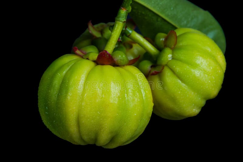 Sluit omhoog verse garciniacambogia over zwarte achtergrond royalty-vrije stock foto Sluit omhoog verse garciniacambogia over zwarte achtergrond royalty-vrije stock foto