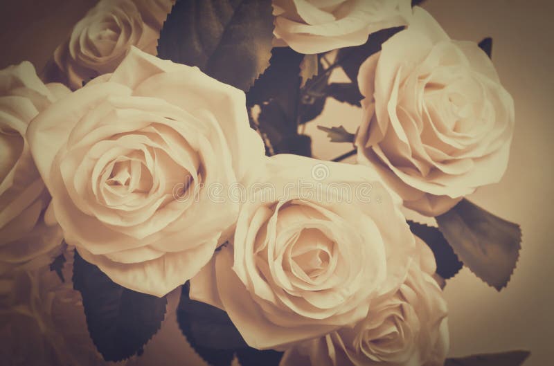 Sluit van witte Kunstmatig steeg stock afbeeldingen