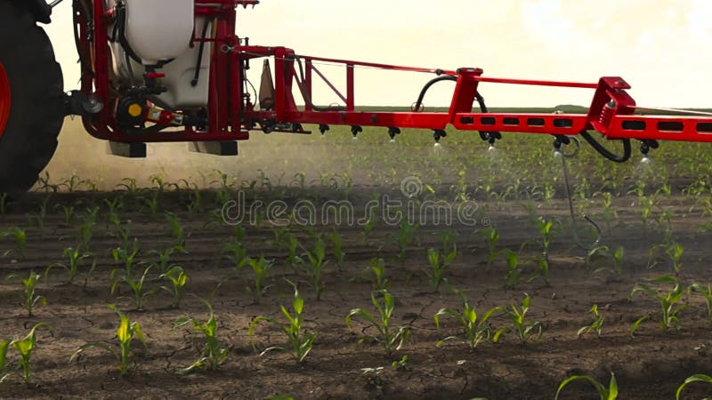 Sluiting van een tractor die pesticiden spuit op maïsvelden