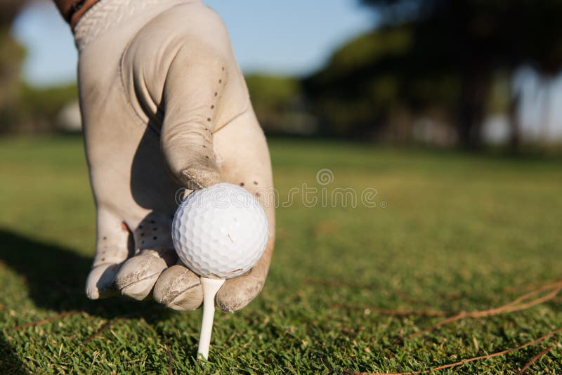 Slut upp av handen för golfspelare som förlägger bollen på utslagsplats royaltyfri bild Slut upp av handen för golfspelare som förlägger bollen på utslagsplats royaltyfri bild