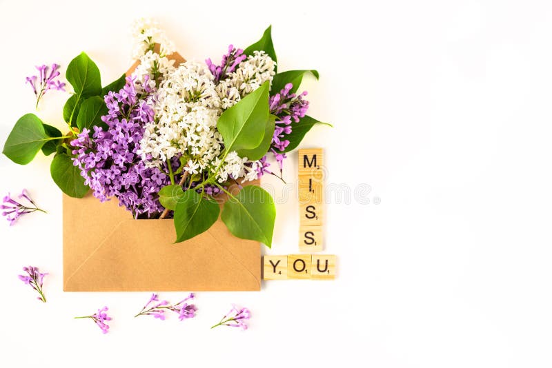 Slutet av det öppnade hantverkpapperskuvertet som fylls med den purpurfärgade lilan för vårblomningen, blommar upp att lägga på v arkivfoto Slutet av det öppnade hantverkpapperskuvertet som fylls med den purpurfärgade lilan för vårblomningen, blommar upp att lägga på v arkivfoto