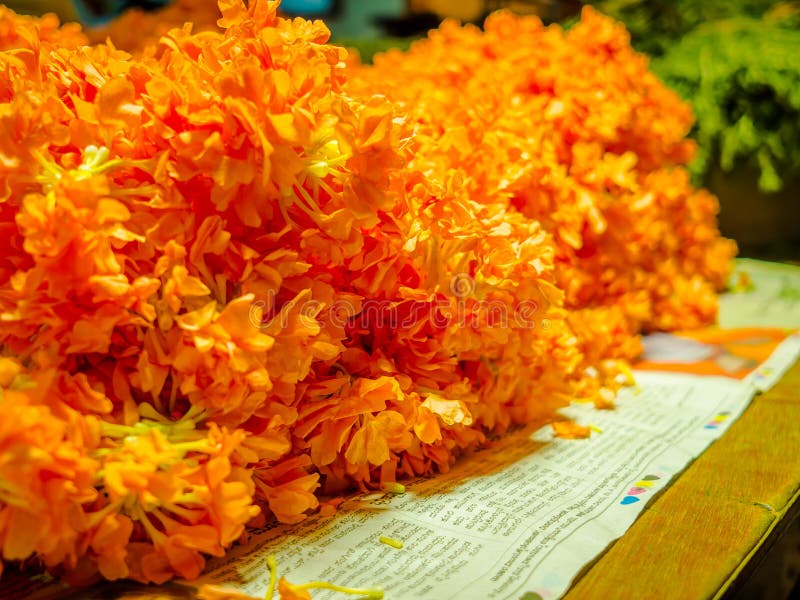 Slutet av en guling blommar upp på KR-marknaden i Bangalore i Bangalore Indien