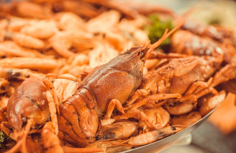 Smakelijke zeevruchten op plaat, rode gekookte rivierkreeften en garnalen in restaurant klaar voor diner Selectieve nadruk stock afbeelding Smakelijke zeevruchten op plaat, rode gekookte rivierkreeften en garnalen in restaurant klaar voor diner Selectieve nadruk stock afbeelding