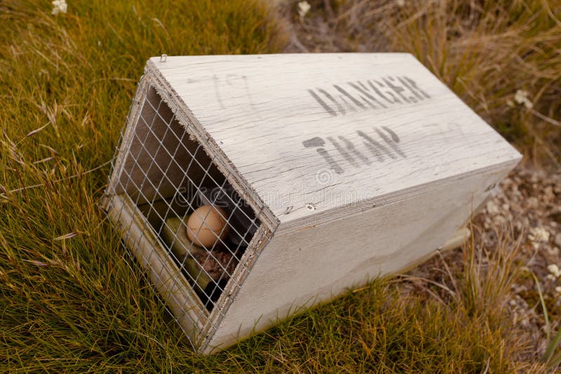 Small animal trap with written warning for humans