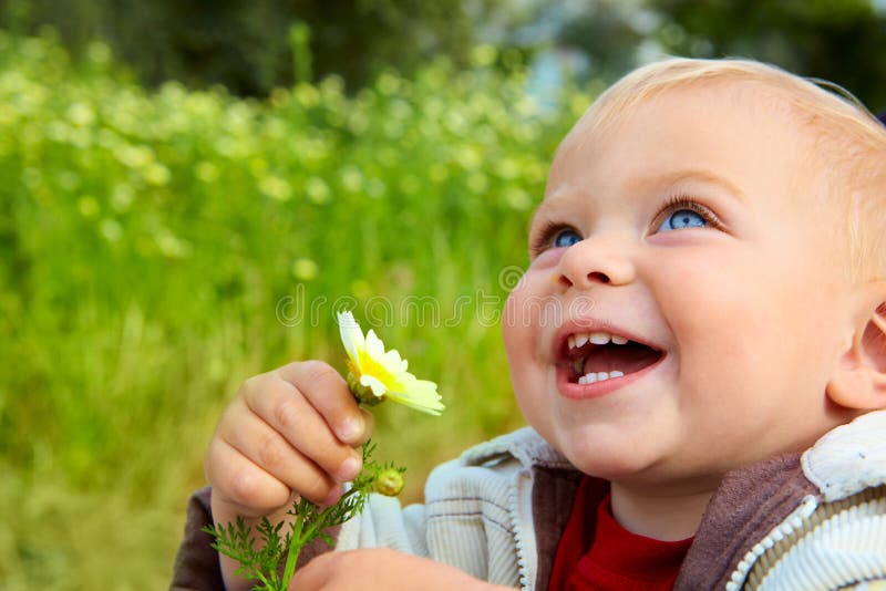 Pequeno un nino chico posesión margarita en su mano sonriente en de flores.