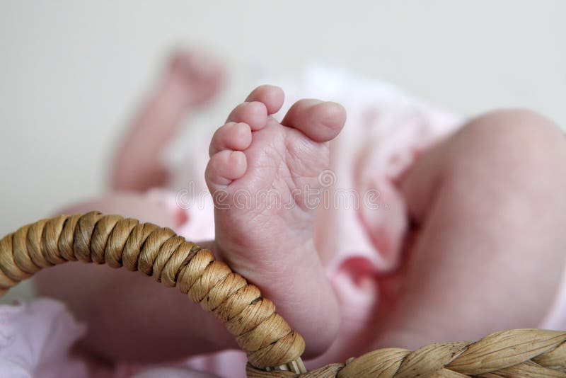 Small baby legs stock image. Image of interior, cute 34931915