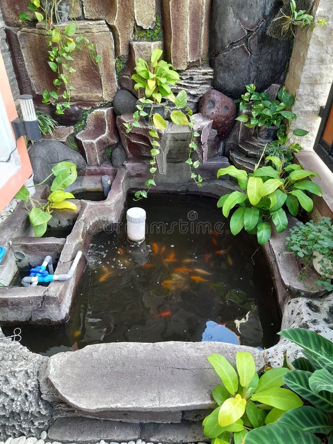 Small Backyard Pond Decoration. Artificial Pond in Garden. Pool Aquatic
