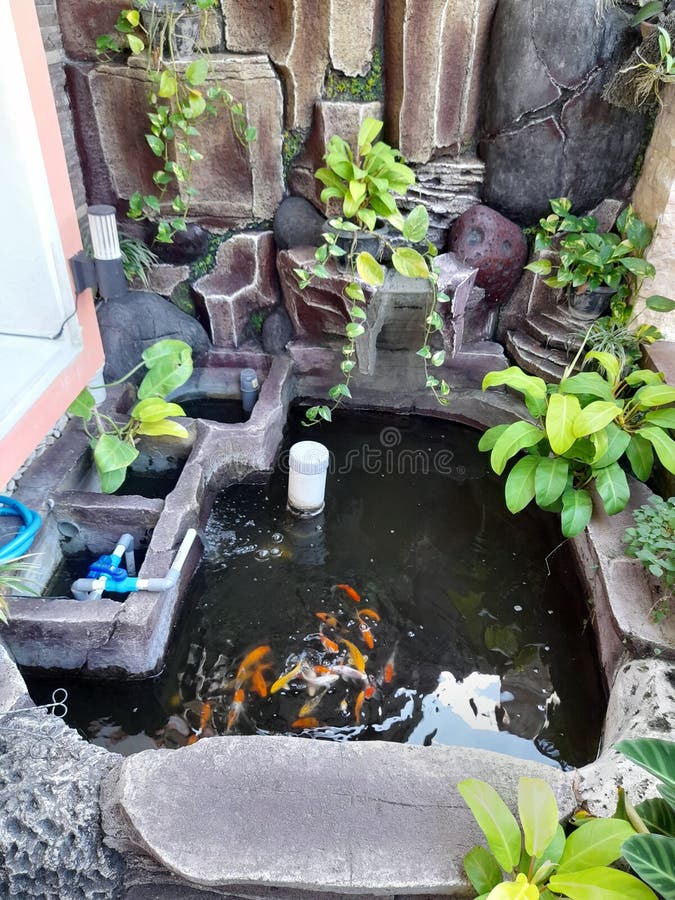 Small Backyard Pond Decoration. Artificial Pond in Garden. Pool Aquatic