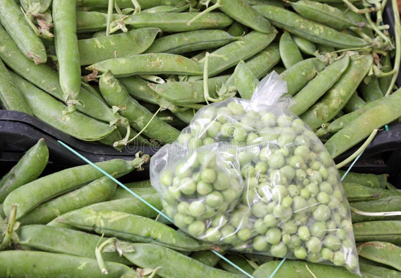 Bag of peas stock photo. Image of close, background, health 17643118
