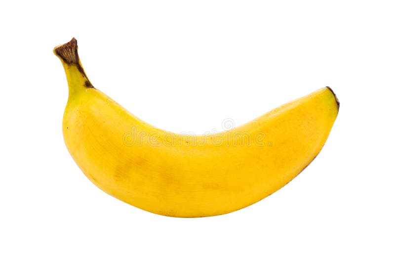 Small lunch box sized banana isolated on a white background. Single mini stock images, royalty-free photos and pictures