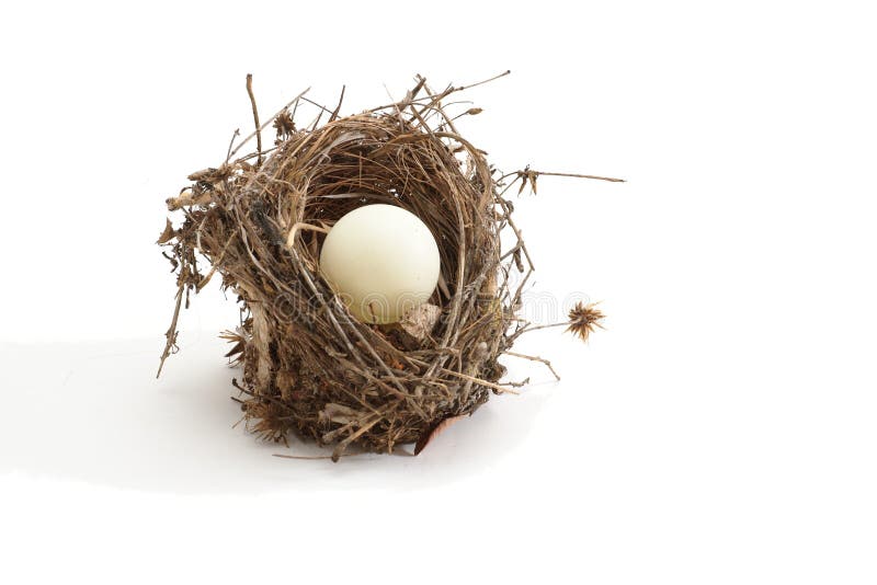 Small bird nest with ping-pong ball instead of egg stock image