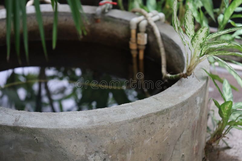 A small bird perched on the rim of a planter, its feathers fluffed up for warmth stock photography