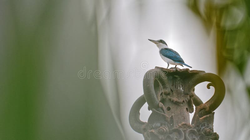 Small bird on statue stock photo