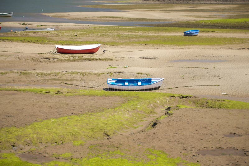 Small boats on land ground