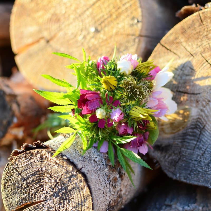Small bouquet of flowers stock image. Image of wall, barn 76059117
