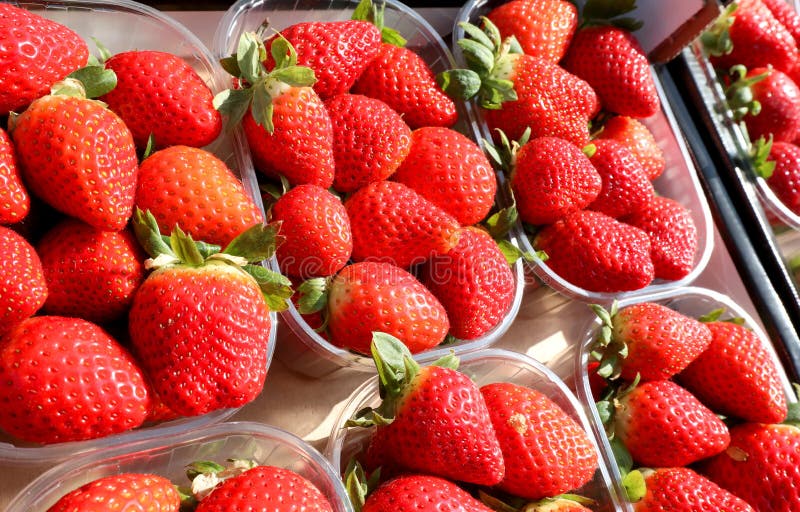 Small Boxes with Strawberries for Sale at Local Market in Spring Stock