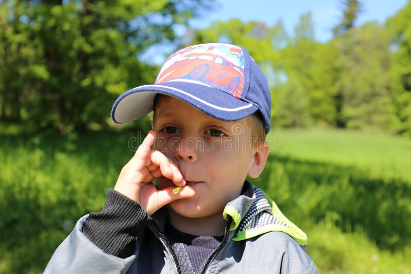 Small Boy in Baseball Cap Blowing To the Footstalk Stock Photo Image