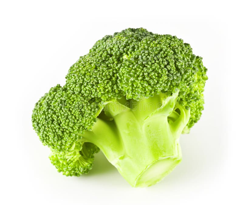 Small broccoli stock photo. Image of ingredient, salad 21776306