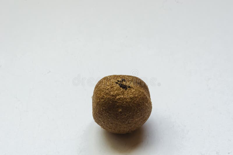 Isolated Rose Apple Seeds stock photo. Image of ripe 251626480