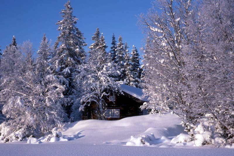 Small cabin Surrounded by snow trees