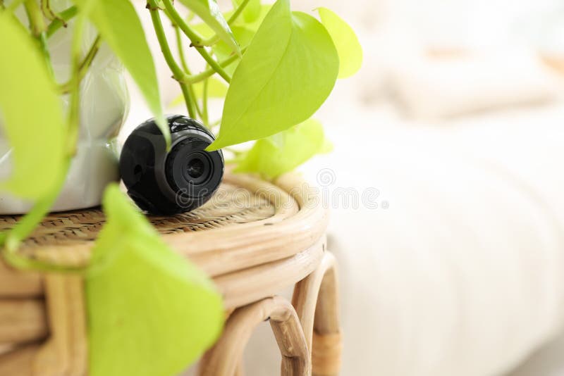Small Camera Hidden Near Houseplant on Table in Room Stock Image