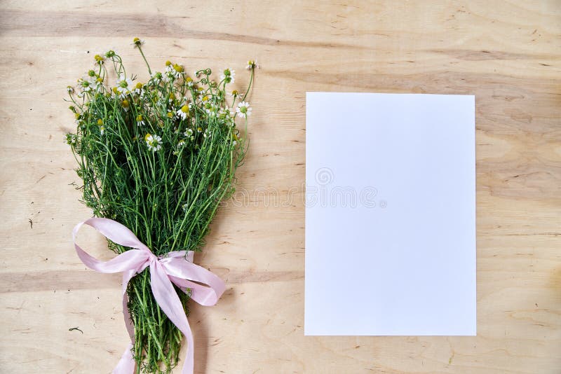 Small camomiles bouquet tied with pink ribbon and white paper sheet on wooden table. Natural background picture of wild flowers.