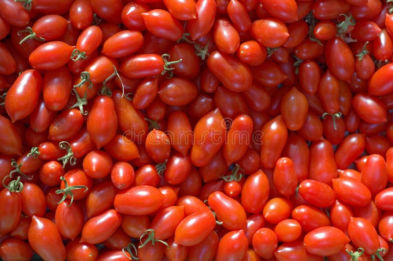 Small Cherry Vine Tomatoes