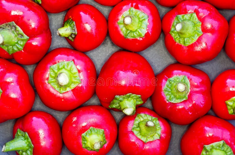 Small Chili Peppers Spicy Paprika Stock Image Image of small, spicy