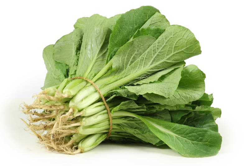 Small Chinese Cabbage