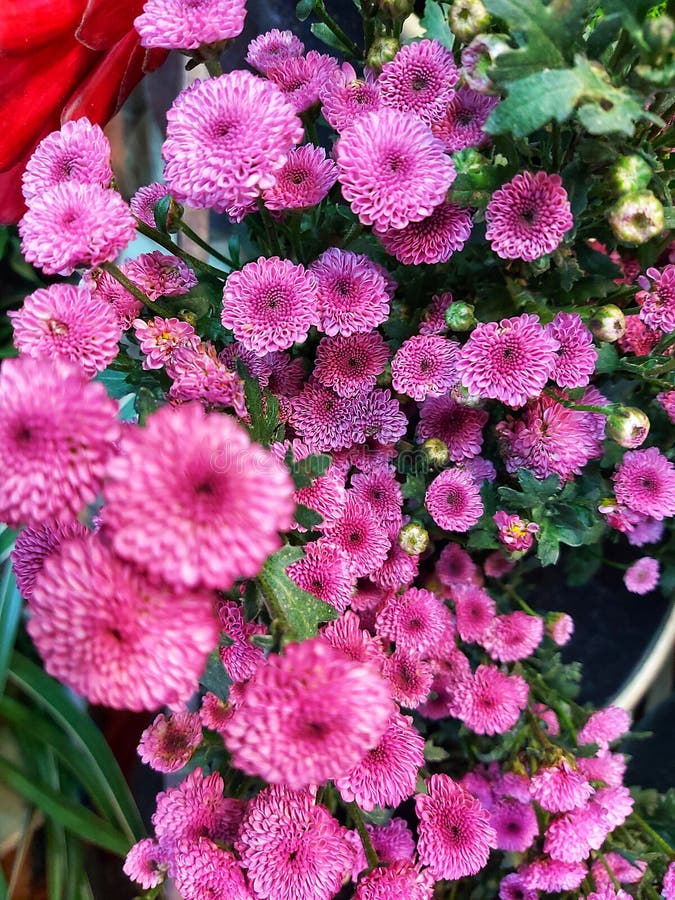 Small Chinese To Go Box stock photo. Image of dinner, china 330878