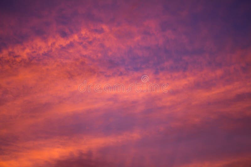 Small Clouds Of Pink And Orange Colors At Dawn Stock Image Image Of
