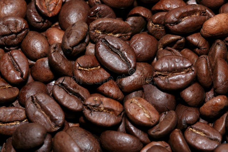 Small coffee beans stock photo. Image of brew, food, black 1763426