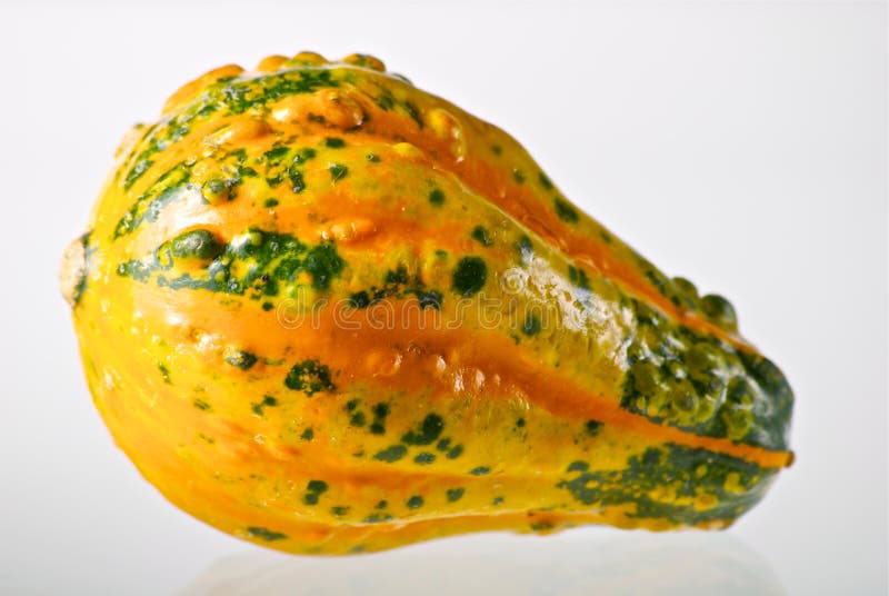 Small colorful gourd