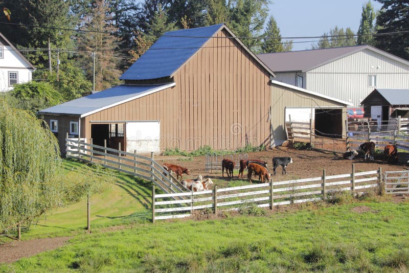 Small Corral for Cattle stock photo. Image of high, outdoor 78204874