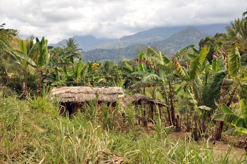 Small cottage in the wood royalty free stock photography
