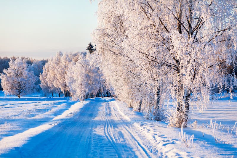 Winter Rural Road and Trees in Snow Stock Image - Image of nature ...